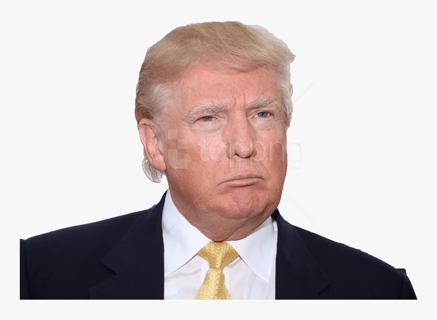 Donald Trump Picture White Background, HD Png Download, Free Download