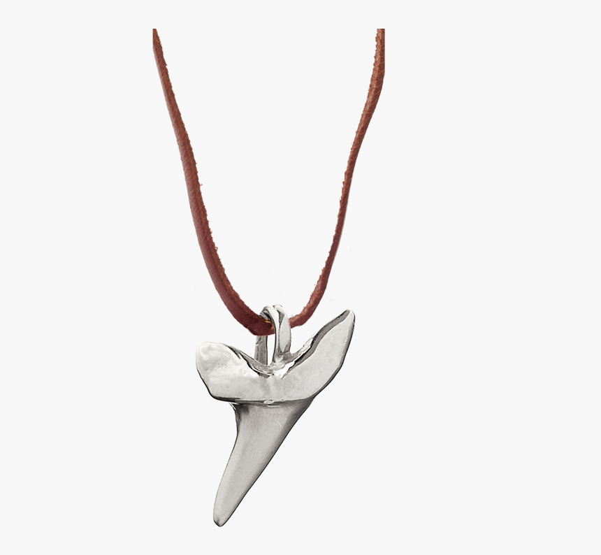 P Shark Pendant Sm Leather Ss - Shark Tooth Necklace Png, Transparent Png, Free Download
