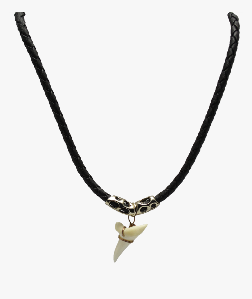 Necklace 18" Braided Black Shark Tooth 1" - Necklace, HD Png Download, Free Download