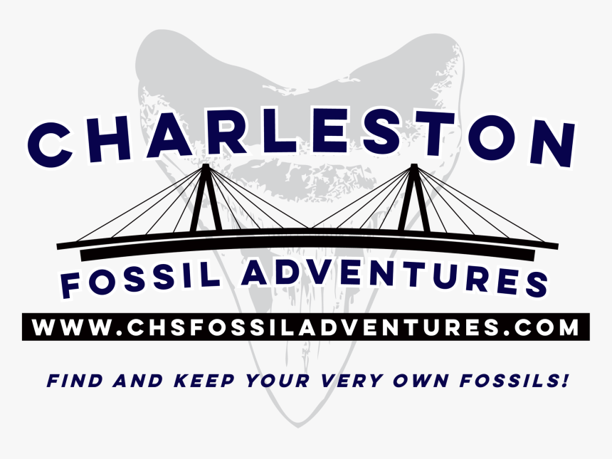 Charleston Fossil Adventures, HD Png Download, Free Download