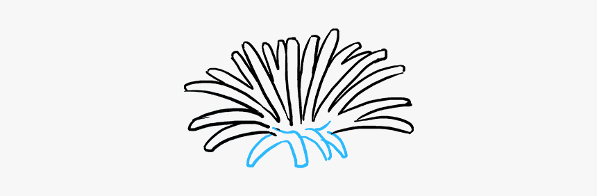 How To Draw Dandelion - Illustration, HD Png Download, Free Download