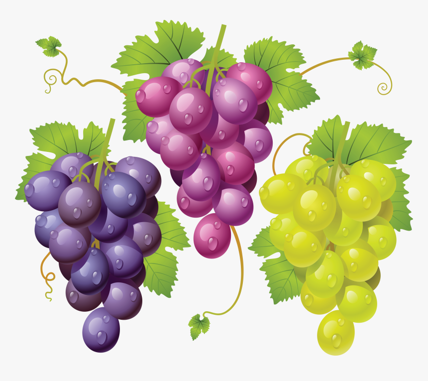 Transparent Grape Emoji Png - Grapes Graphics, Png Download, Free Download