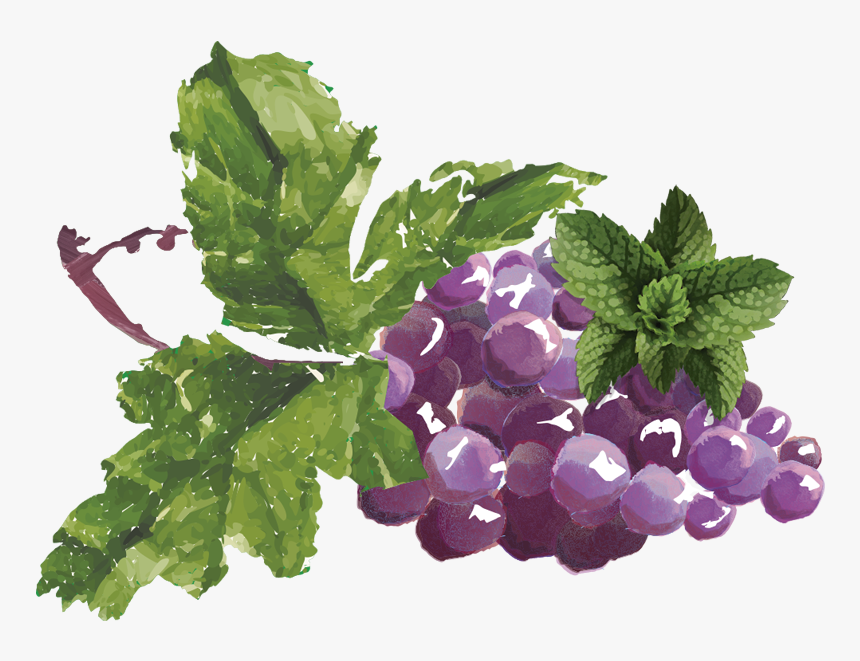 Transparent Uvas Png - Natural Grape Syrup, Png Download, Free Download