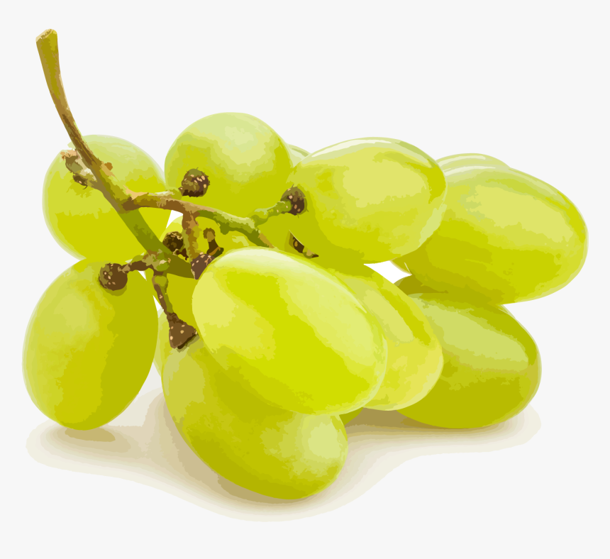 Seedless Fruit, HD Png Download, Free Download