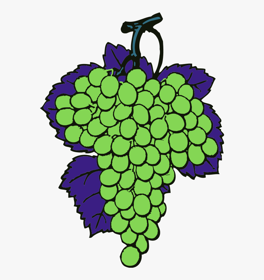 Grapes Vine Fruit - Joshua And Caleb Verse, HD Png Download, Free Download