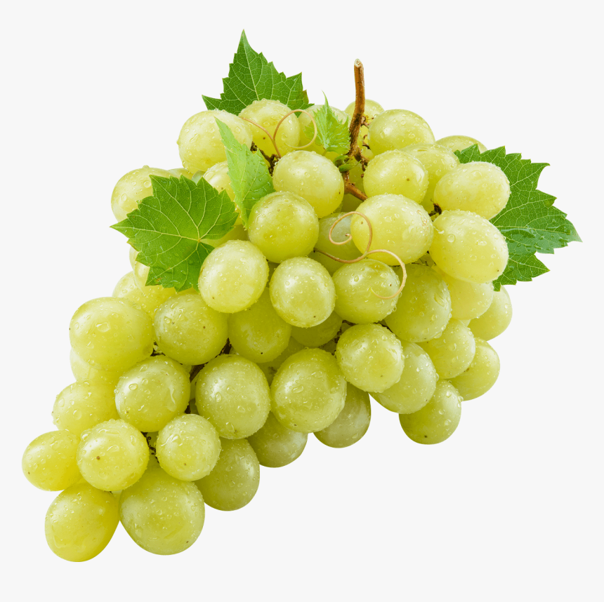 Grape , Png Download - Grape Png, Transparent Png, Free Download