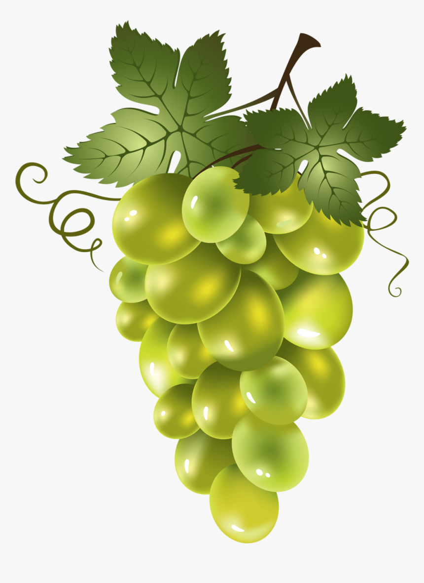 Red Grapes Transparent Cartoon, HD Png Download, Free Download