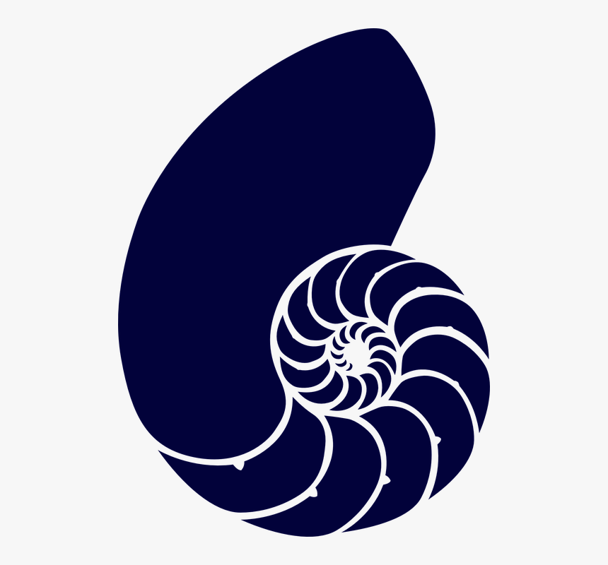 Shell, Sea, Blue, Spiral, Navy, Dark, Animal, Fossil - Nautilus Shell Clipart, HD Png Download, Free Download