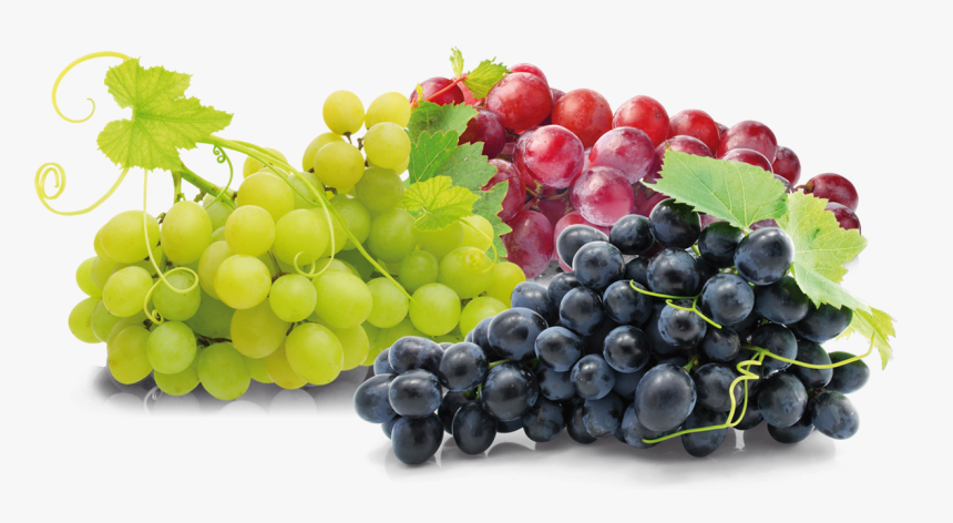 Grape Transparent Table, HD Png Download, Free Download