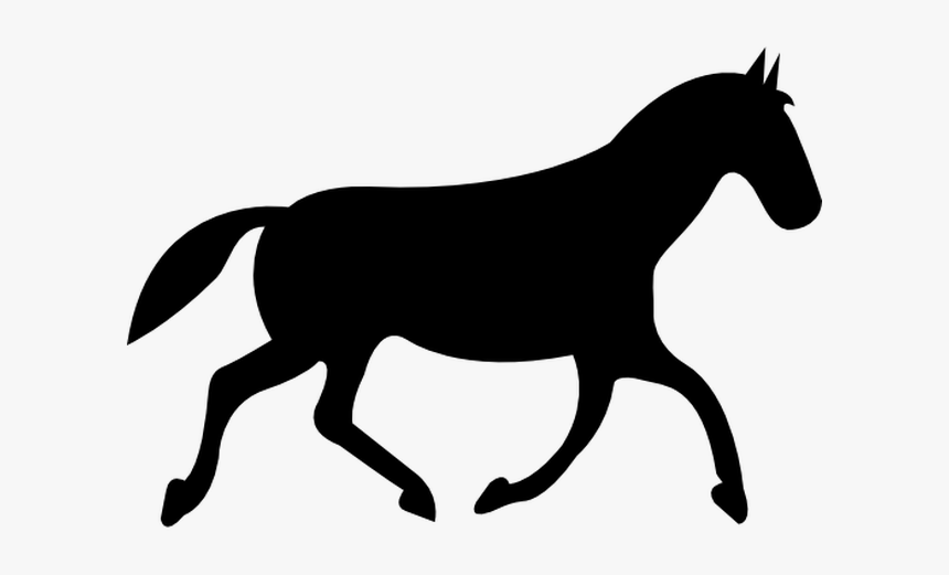 Horse Galloping Green Screen, HD Png Download, Free Download
