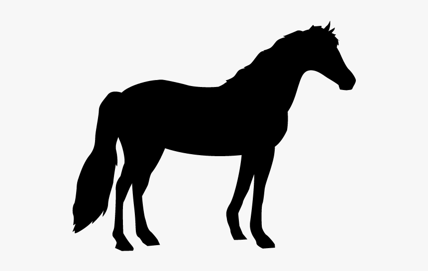 Girl And Horse Silhouette, HD Png Download, Free Download