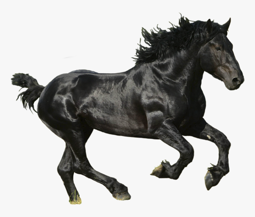 Free Download Of Horse Transparent Png Image - Lil Nas X Old Town Road Album, Png Download, Free Download