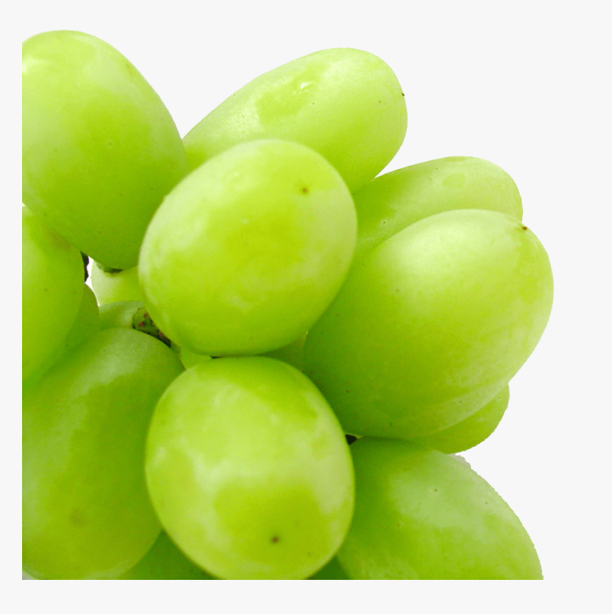 Uvasblancas - Grape, HD Png Download, Free Download