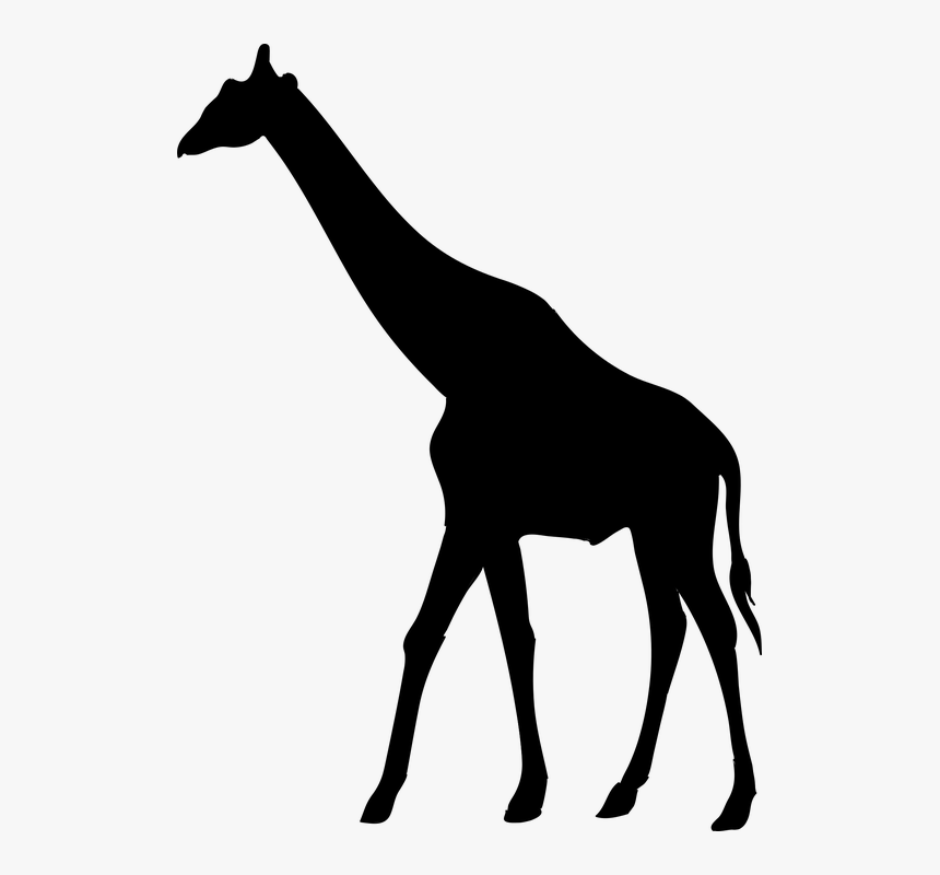 silhouette of safari animals