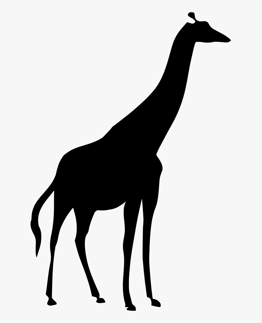 Giraffe Silhouette - Giraffe Silhouette Png, Transparent Png, Free Download