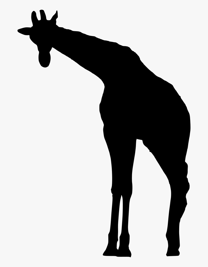 Giraffe, Silhouette, Animal, African, Wildlife - Giraffe Silhouette Png, Transparent Png, Free Download