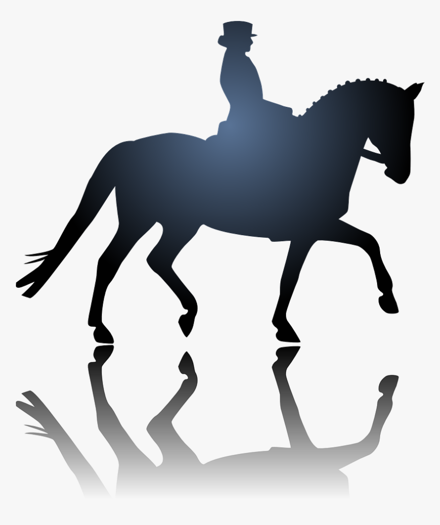 Dressage Horse Head Transparent Background, HD Png Download, Free Download