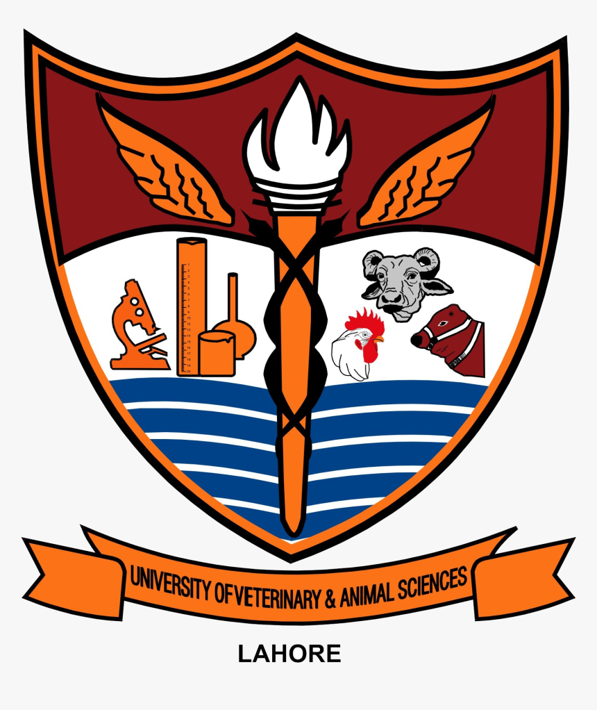 University Of Veterinary And Animal Sciences Logo, HD Png Download, Free Download