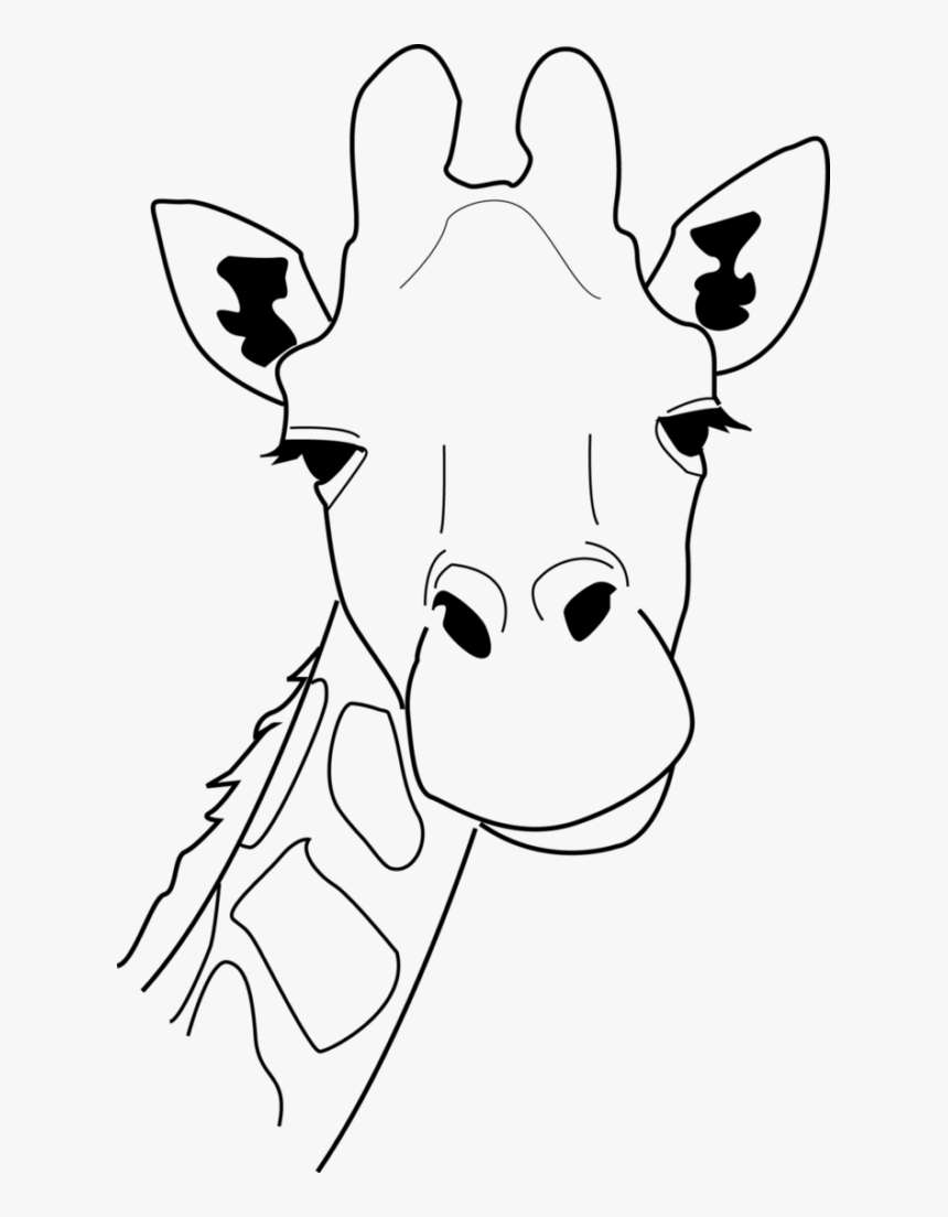 Giraffe Outline Png - Giraffe Head Drawing Easy, Transparent Png, Free Download