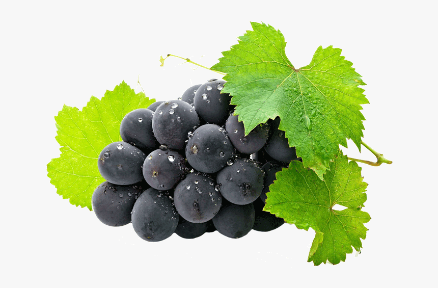 Transparent Background Grapes Png, Png Download, Free Download