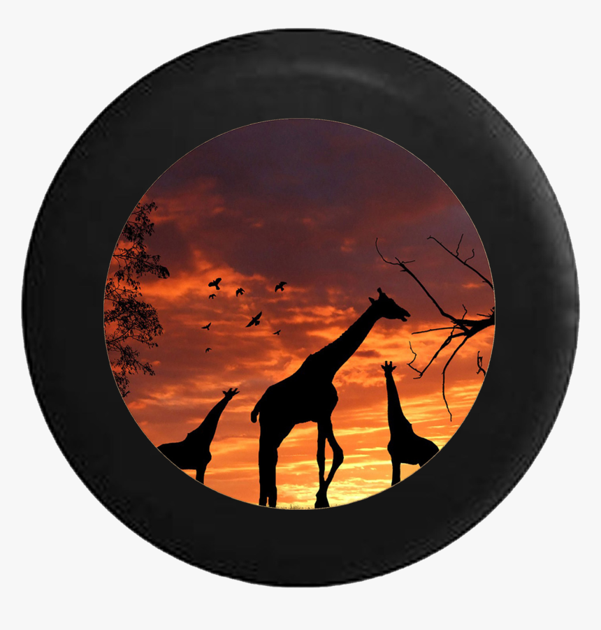 Transparent Giraffe Silhouette Png - Safari Giraffe Backgrounds Png, Png Download, Free Download