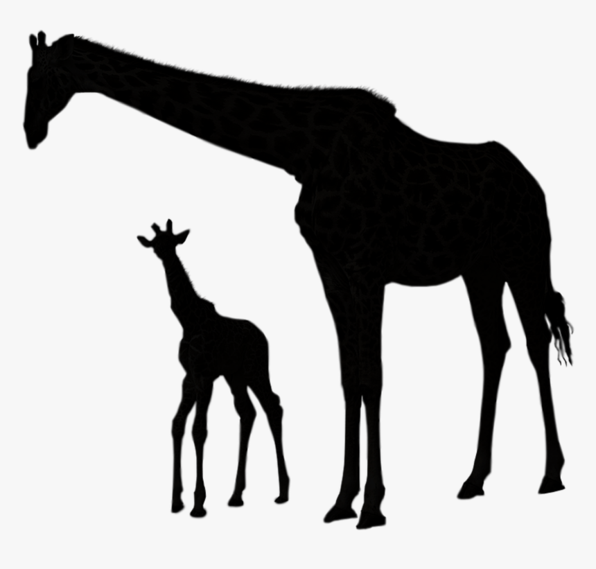 🦒 - Giraffe Png, Transparent Png, Free Download