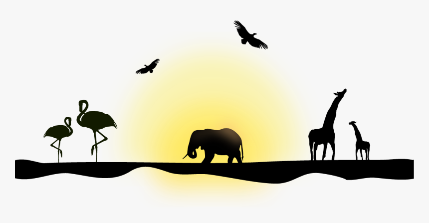 Northern Giraffe Silhouette Euclidean Vector Elephant - Wildlife Vectors, HD Png Download, Free Download