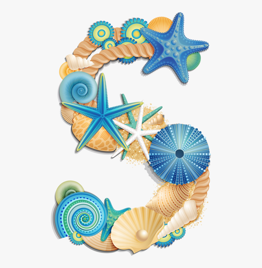 Seashells Clipart Letters, HD Png Download, Free Download
