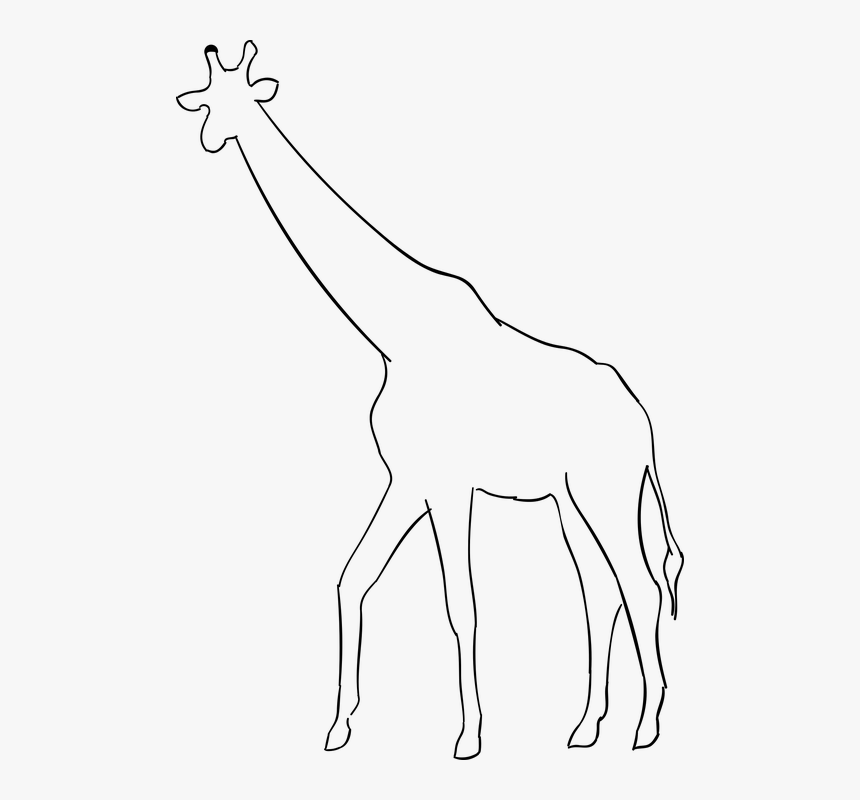 Giraffe, Animal, The Silhouette, Safari, Africa - Silueta De Una Jirafa, HD Png Download, Free Download