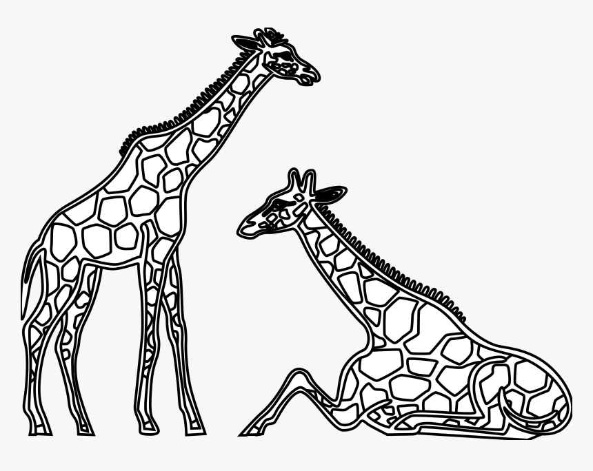 Giraffe Clipart Line Drawing - Giraffes Black And White Clip Art, HD Png Download, Free Download