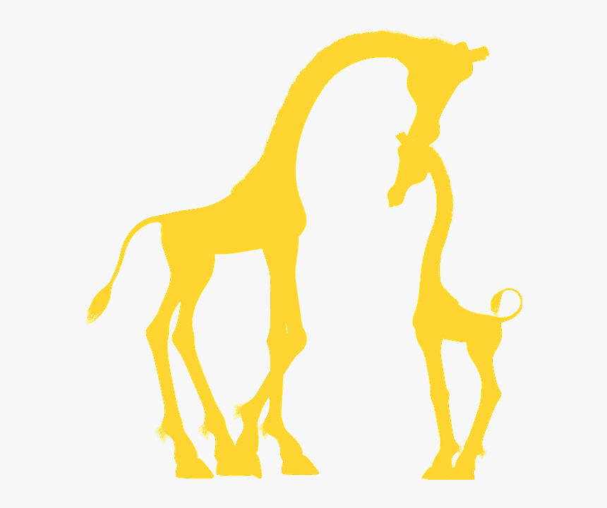 Giraffe, HD Png Download, Free Download