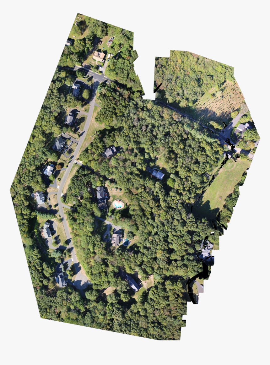 Mapping - Moss, HD Png Download, Free Download