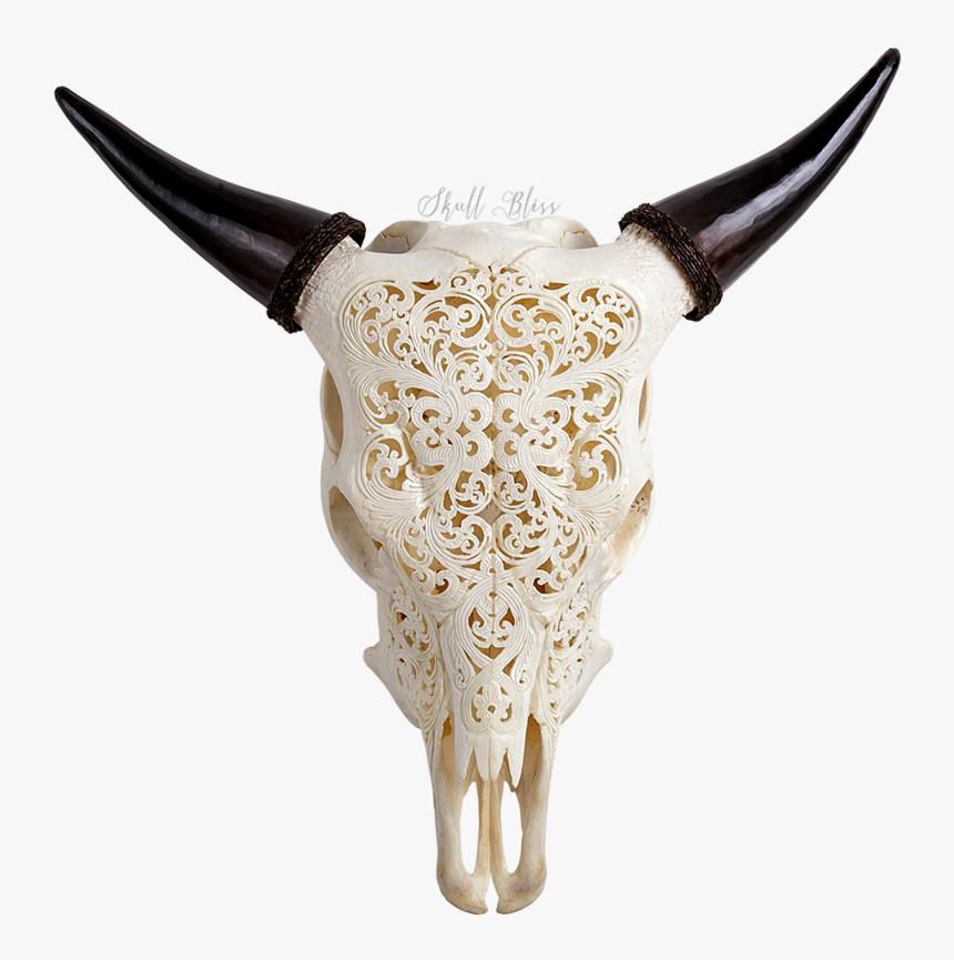 Engraved Cow Skull, HD Png Download, Free Download