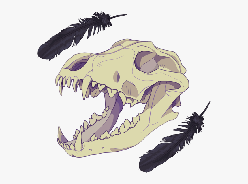 17 Best Croc Images - Wolf Skull Transparent Background, HD Png Download, Free Download