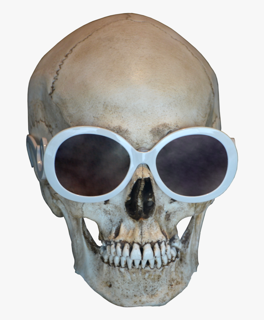 Skull Free Download Png - - Real Skull With Sunglasses, Transparent Png, Free Download