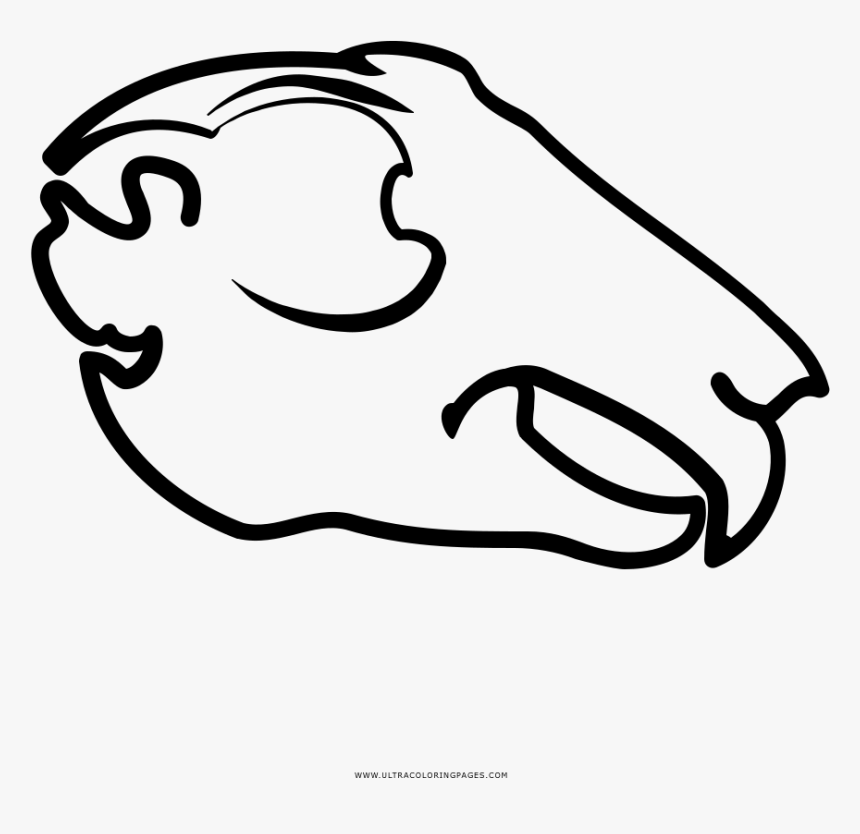 Animal Skull Coloring Page - Clip Art Animal Skull, HD Png Download, Free Download