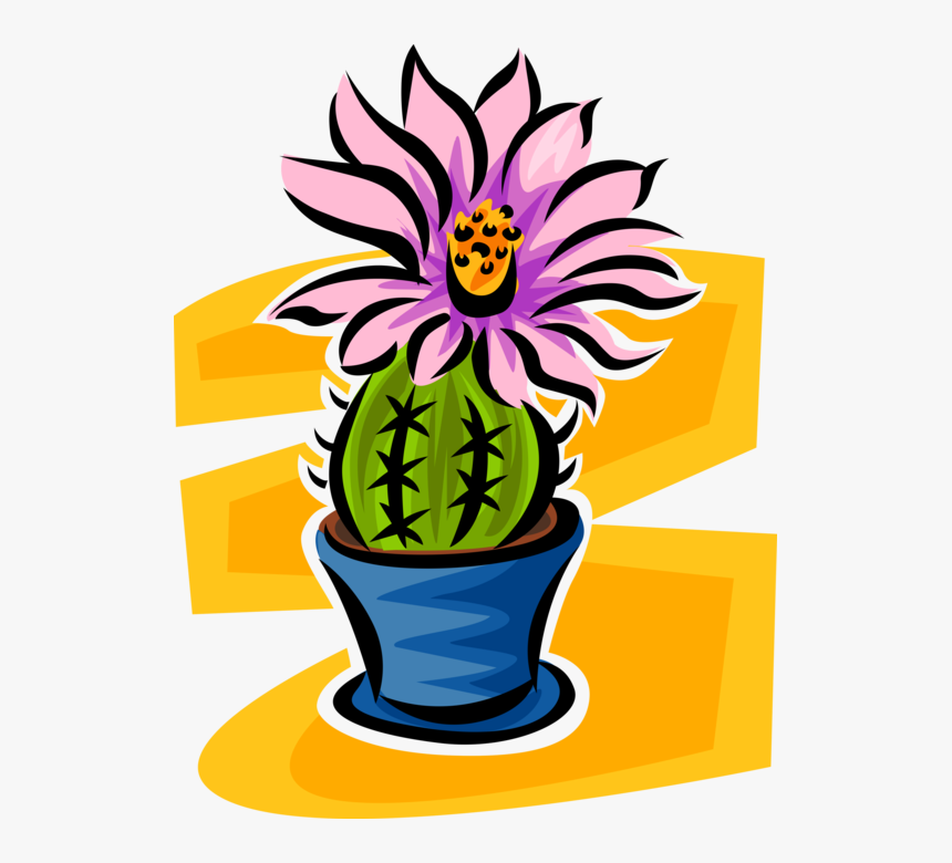 Vector Illustration Of Botanical Flowering Cactus Plant - Houseplant, HD Png Download, Free Download