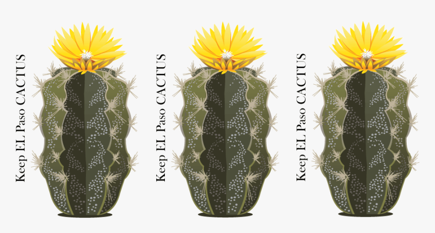 Vector Design By Sonia Schafer For Drennan Enterprises - Hedgehog Cactus, HD Png Download, Free Download