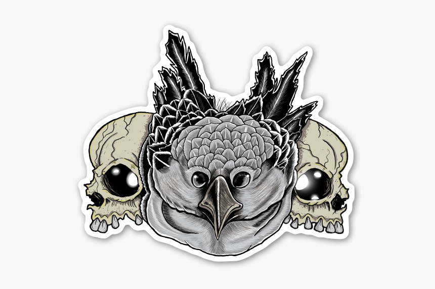 Owl Skull Sticker - Illustration, HD Png Download, Free Download