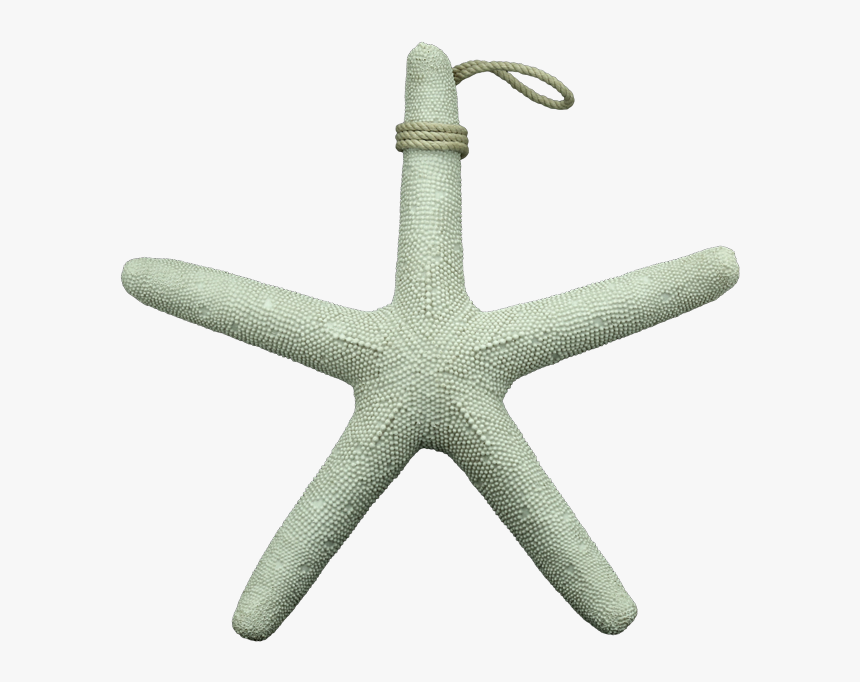 Marine White Wooden Sea Star 39cm By Stories - Pendant, HD Png Download, Free Download