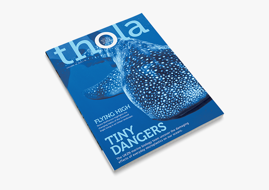 Thola Magazine Cover - Magazine Design, HD Png Download, Free Download