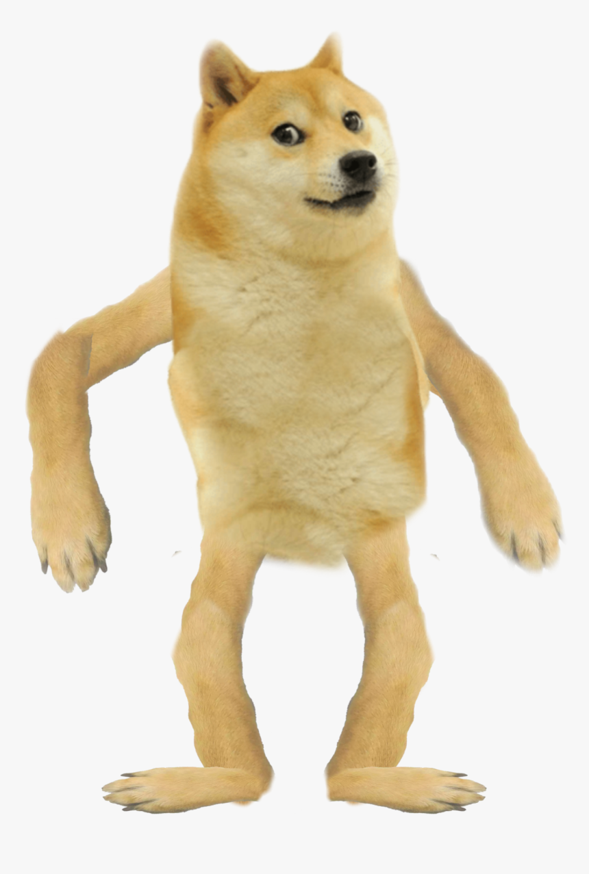 Doge Png Transparent, Png Download - kindpng