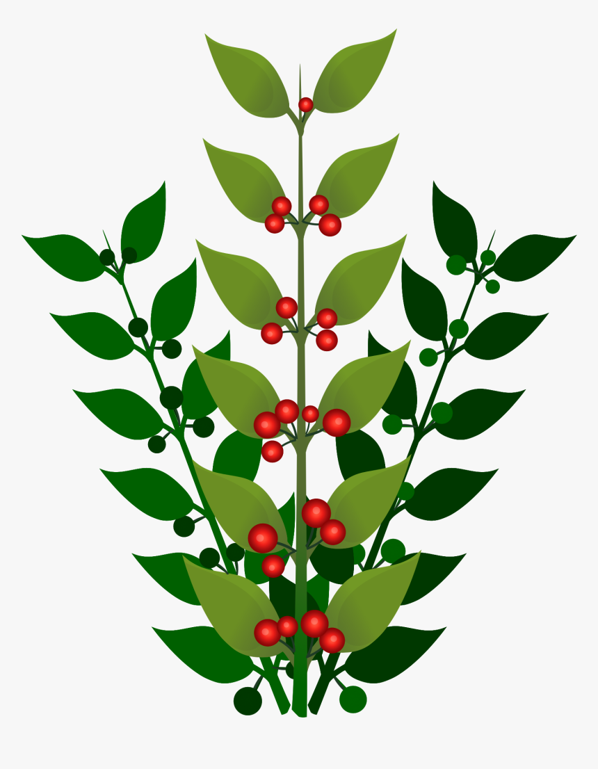 A Simple Branch With Berries Clip Arts - Bush Berry Clipart Transparent, HD Png Download, Free Download