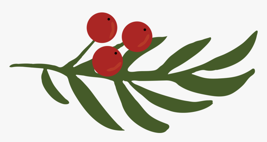 Holly Berries, HD Png Download, Free Download