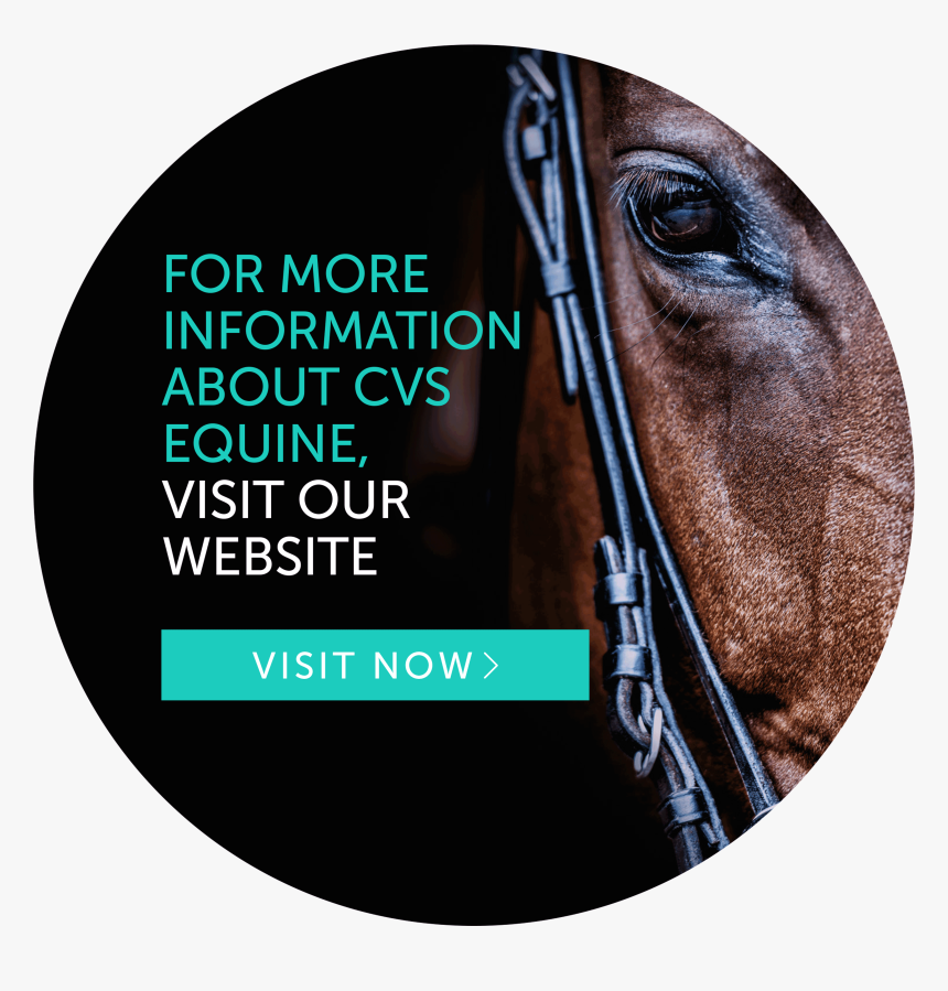 Cvs Equine - Cd, HD Png Download, Free Download