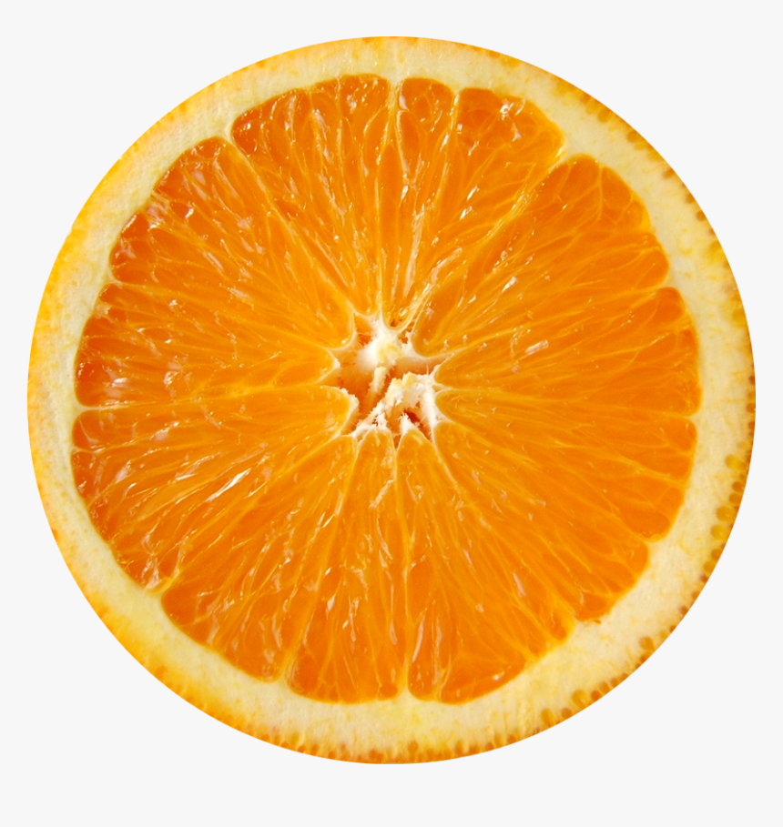 Sliced Orange Png, Transparent Png, Free Download