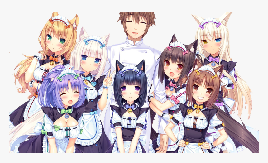 #kashou #cinnamon #maple #chocola #vanilla #coconut - Nekopara Vol 3, HD Png Download, Free Download