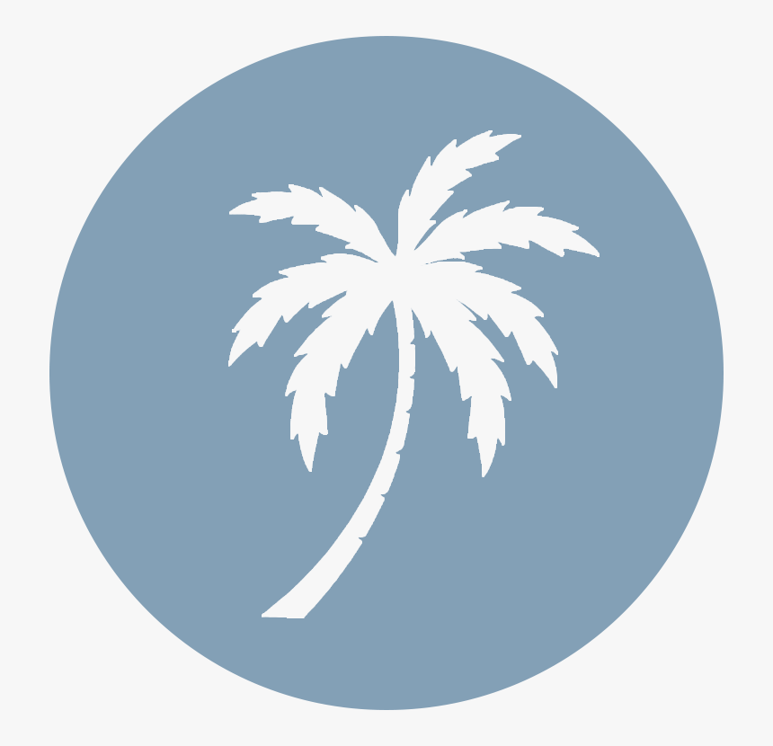 Jeep Wheel Covers Salt Life Clipart , Png Download - Palm Tree And Moon, Transparent Png, Free Download