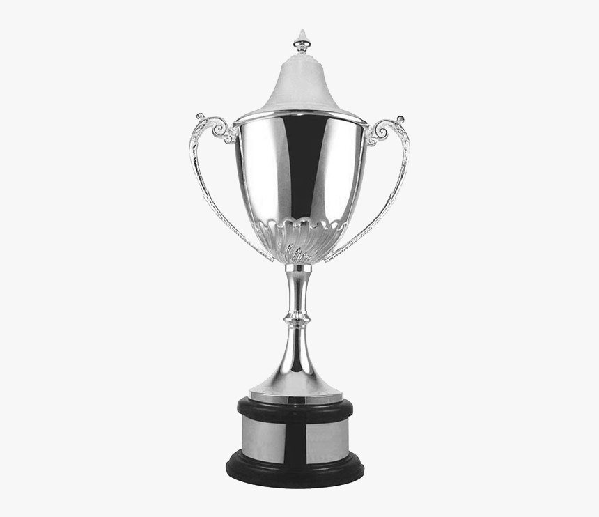 Swatkins Silverware Champion Trophy Cup 550mm L576 - Champion Cup, HD Png Download, Free Download