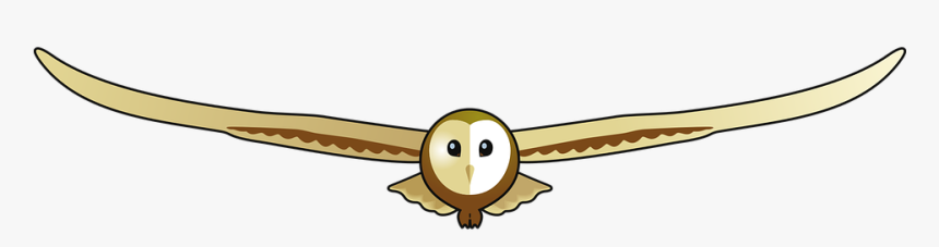 Barn Owl, Children, Wildlife - Cartoon, HD Png Download, Free Download